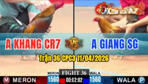Trận 36 CPC3 11/04/2026 - ĐIỀU HẠ KHÉT NHANH CHÓNG