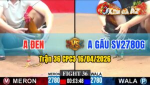 Trận 36 CPC3 16/04/2026 - Điều Đá Đòn Mạnh Khét Lật Xe Nhanh Chóng