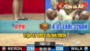 Trận 37 CPC2 15/04/2026 - Bướm Chưa Thả Phóng Ăn 6 Và Cái Kết Bông Đá Hết Đứng