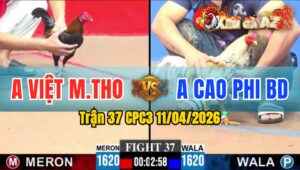 Trận 37 CPC3 11/04/2026 - ĐIỀU TỰ ĐÂM VÀ CÁI KẾT