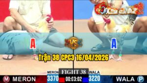 Trận 38 CPC3 16/04/2026 - Chuối Đâm Cựa Tịch Bướm Dãy Chết Tại Chỗ