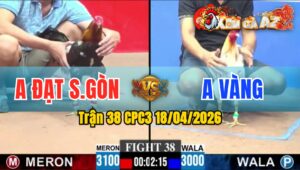 Trận 38 CPC3 18/04/2026 - Bướm Xiết Điều Xỉu Sau Vài Chân Giao