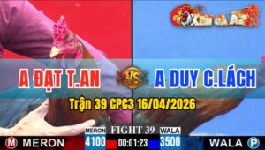 Trận 39 CPC3 16/04/2026 - Đỏ Đâm Quá Đâm Xanh Sách Đuôi Khỏi Bồ