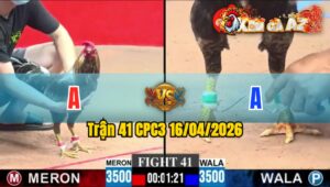 Trận 41 CPC3 16/04/2026 - Điều Đá Vài Chân  Bưng Xám Ra Sân