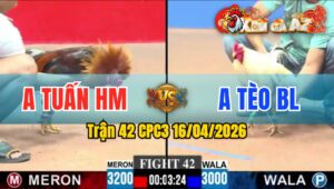 Trận 42 CPC3 16/04/2026 - Điều Đâm Quá Đâm  Bướm Gãy Giò Buông Chạy