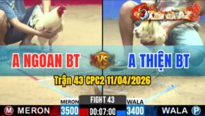 Trận 43 CPC2 11/04/2026 - Đỏ Trả Chân Xanh Nằm Ói Phản Tang