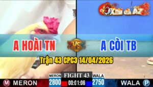 Trận 43 CPC3 14/04/2026 - Đỏ Có Chân Xl Đẳng Cấp  Bưng Xanh Ra Sân