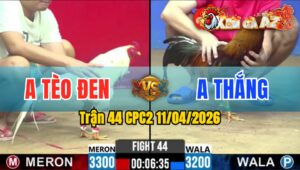 Trận 44 CPC2 11/04/2026 - Điều Ra Chân Quyết Định Bướm Lật Xe Nằm Liệt