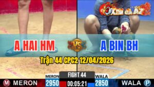 Trận 44 CPC2 12/04/2026 - Đỏ Đá Trên Lưng Xanh Nằm Tại Chỗ