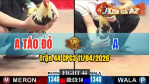 Trận 44 CPC3 11/04/2026 - SONG CHUỐI ĂN MIẾNG TRẢ MIẾNG  CHUỐI A TÁO VẪN ĐẲNG CẤP HƠN