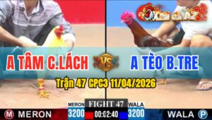 Trận 47 CPC3 11/04/2026 - ĐIỀU DỞ CHÂN LÀ THẤY CỰA  BƯỚM XĨU TẠI CHỖ