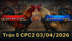 Trận 5 Bồ CPC2 3/4/2026 - Bướm Chà Như Máy 3 Chân Điều Nằm Biệt
