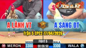 Trận 5 CPC2 17/04/2026 - Bướm Giao Chân Quá Hay Bông Xỉu Nằm Đống