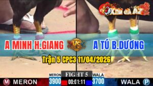 Trận 5 CPC3 11/04/2026 - ĐỎ DỠ CHÂN LÀ CÓ CỰA  HẠ XANH NHANH CHÓNG