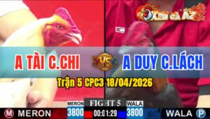 Trận 5 CPC3 18/04/2026 - Bướm Đá Đòn Như Súng Bắn  Hạ Điều Nhanh Gọn