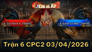 Trận 6 Bồ CPC2 3/4/2026 - Cọp Que Idol Phóng A6 Nhanh Lẹ Bưng Khét Ra Ngoài