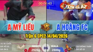 Trận 6 CPC2 14/04/2026 - Điều Vàng Đâm Quá Đâm Điều Xanh Nằm Tại Chỗ