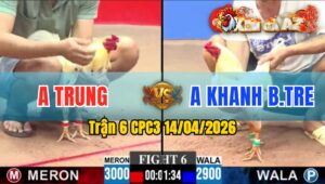 Trận 6 CPC3 14/04/2026 - 2 Con Đá Thưa Cựa Kết Quả Hòa
