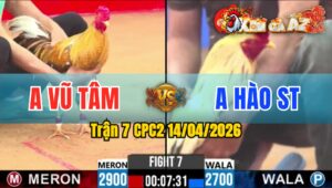 Trận 7 CPC2 14/04/2026 - Bướm Đâm Quá Đâm Cú Nằm Biệt Phút 90