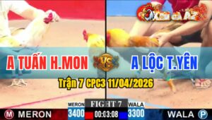 Trận 7 CPC3 11/04/2026 - MƯA DẦM THẤM LÂU  KHÉT ÓI BỎ CHẠY