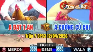 Trận 7 CPC3 12/04/2026 - BÔNG ĐÂM NHƯ MÁY KHÂU  KHÉT ÓI TẠI CHỖ