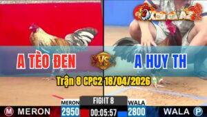 Trận 8 CPC2 18/04/2026 - Cú Quá Dẽo Nuốt Ói Thủ Hòa Quá Hay Phút 90