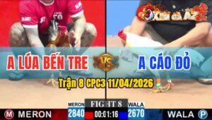 Trận 8 CPC3 11/04/2026 - ÚA XIẾT CHƯA TỚI 3 CHÂN CÓ KẾT QUẢ