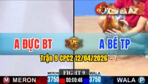 Trận 9 CPC2 12/04/2026