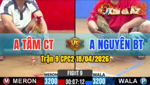 Trận 9 CPC2 18/04/2026 - Đỏ Nạp Quá Hay Xanh Nằm Ngay 1 Chỗ