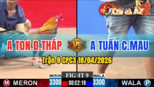 Trận 9 CPC3 18/04/2026 - Đỏ Đâm Xanh Buông Chạy Chưa Tới 1 Tay Nước
