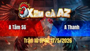 Trận 10 Bồ CPC2 17/5/2026