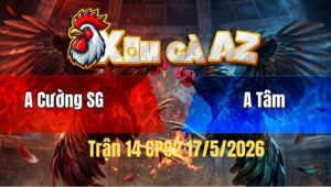 Trận 14 Bồ CPC2 17/5/2026