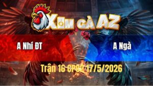 Trận 16 Bồ CPC2 17/5/2026