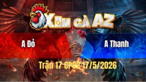 Trận 17 Bồ CPC2 17/5/2026