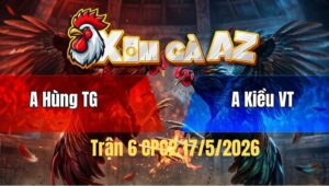 Trận 6 Bồ CPC2 17/5/2026