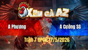 Trận 7 Bồ CPC2 17/5/2026