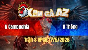 Trận 8 Bồ CPC2 17/5/2026