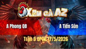Trận 9 Bồ CPC2 17/5/2026