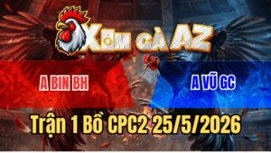 Trận 1 CPC2 25/5/2026: Gà Úa Anh Vũ Mở Bát Đâm Gà Cú Như Con