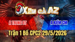 Trận 1 CPC2 29/5/2026: Bướm Trâu Gồng Đến Mấy Cũng Phải Nằm Sàn