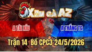 Trận 14 CPC2 24/5/2026