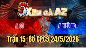 Trận 15 CPC2 24/5/2026