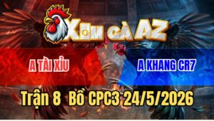 Trận 8 CPC2 24/5/2026