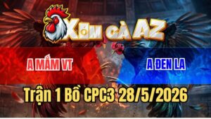 Trận 1 CPC3 28/5/2026: Úa Hiệu Anh Mắm Mở Bát Đá Gà Xám Chạy Kêu Miệng
