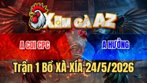 Trận 1 Xà Xía 24/5/2026: Điều Đá Toàn Đầu Cần Sau Vài Chân Bướm Gục
