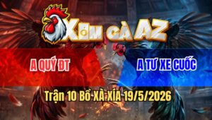 Trận 10 Bồ Xà Xía 19/5/2026 - Gà Chuối Lóc Chóc Vô Ẩu Tả Điều Chặn Vài Chân Đâm Chuối Té Hết Đường Phản