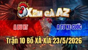 Trận 10 Xà Xía 23/5/2026: Đỏ Chồng Độ Đụng Xanh Đâm Dã Man Và Cái Kết