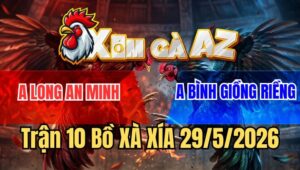Trận 10 Xà Xía 29/5/2026: Gà Bướm Xui Tang Dính Chân Tào Lao Té