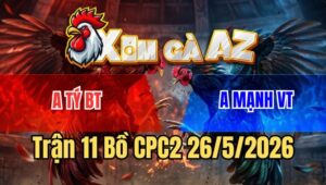 Trận 11 CPC2 26/5/2026: Gà Úa Phóng Bạc Cho Cố Nhận Ngay Cái Kết Ê Chề