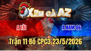 Trận 11 CPC3 23/5/2026: Gà Cú Lùn Mà Đâm Như Qủy Khét Vô Ói Chết